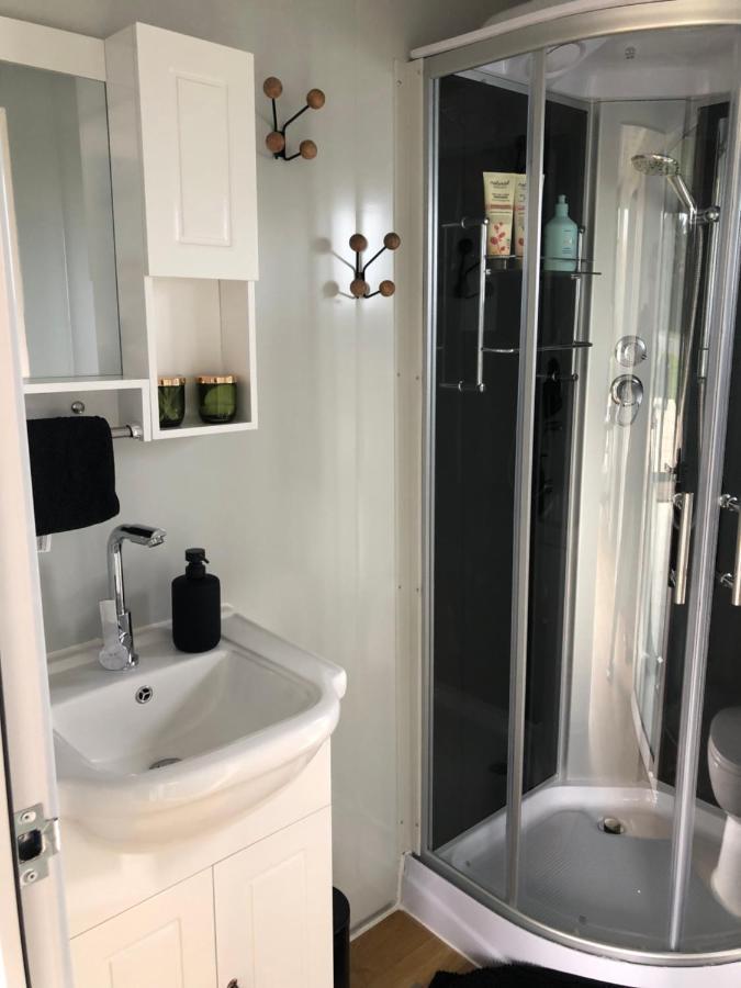 Adorable Little Container House Apartment Hastings Ngoại thất bức ảnh